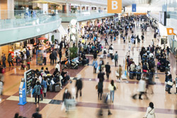 まよっちゃう！東京羽田空港で買えるオシャレなお土産