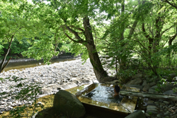 秘境温泉神秘の湯